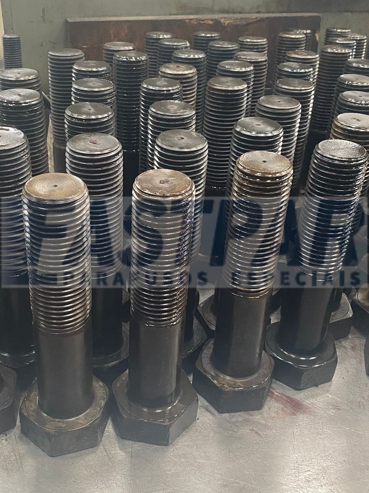 WhatsApp Image 2025-01-31 at 11.29.57.jpeg