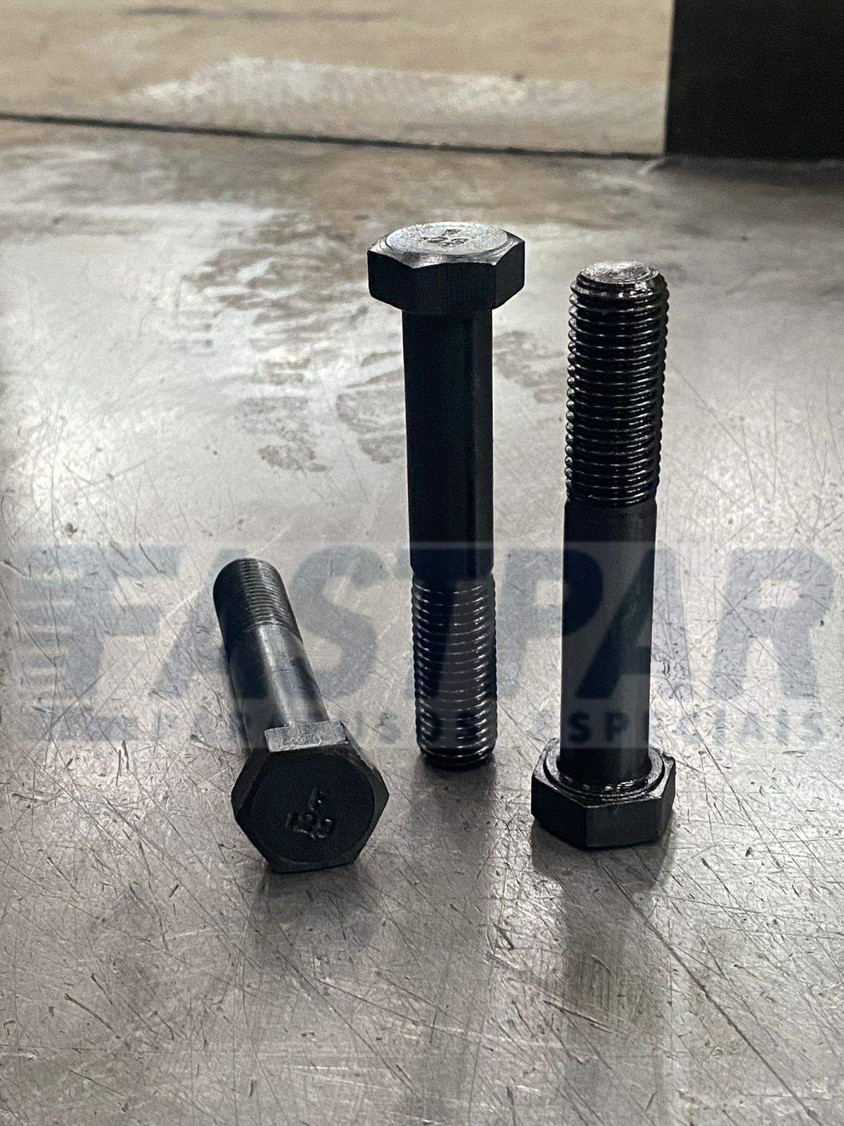 WhatsApp Image 2025-01-31 at 11.30.02.jpeg